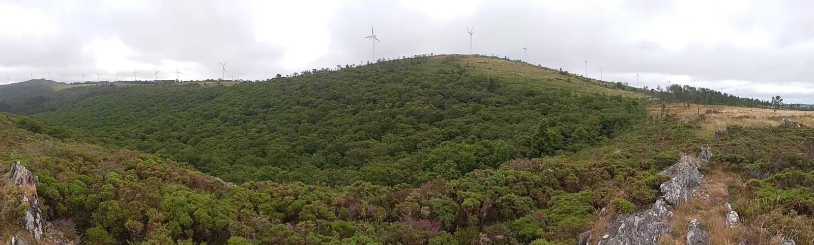Panorámica do monte veciñal de Raño (Irixoa): pradeiras, masas de frondosas e aeroxeradores no cume