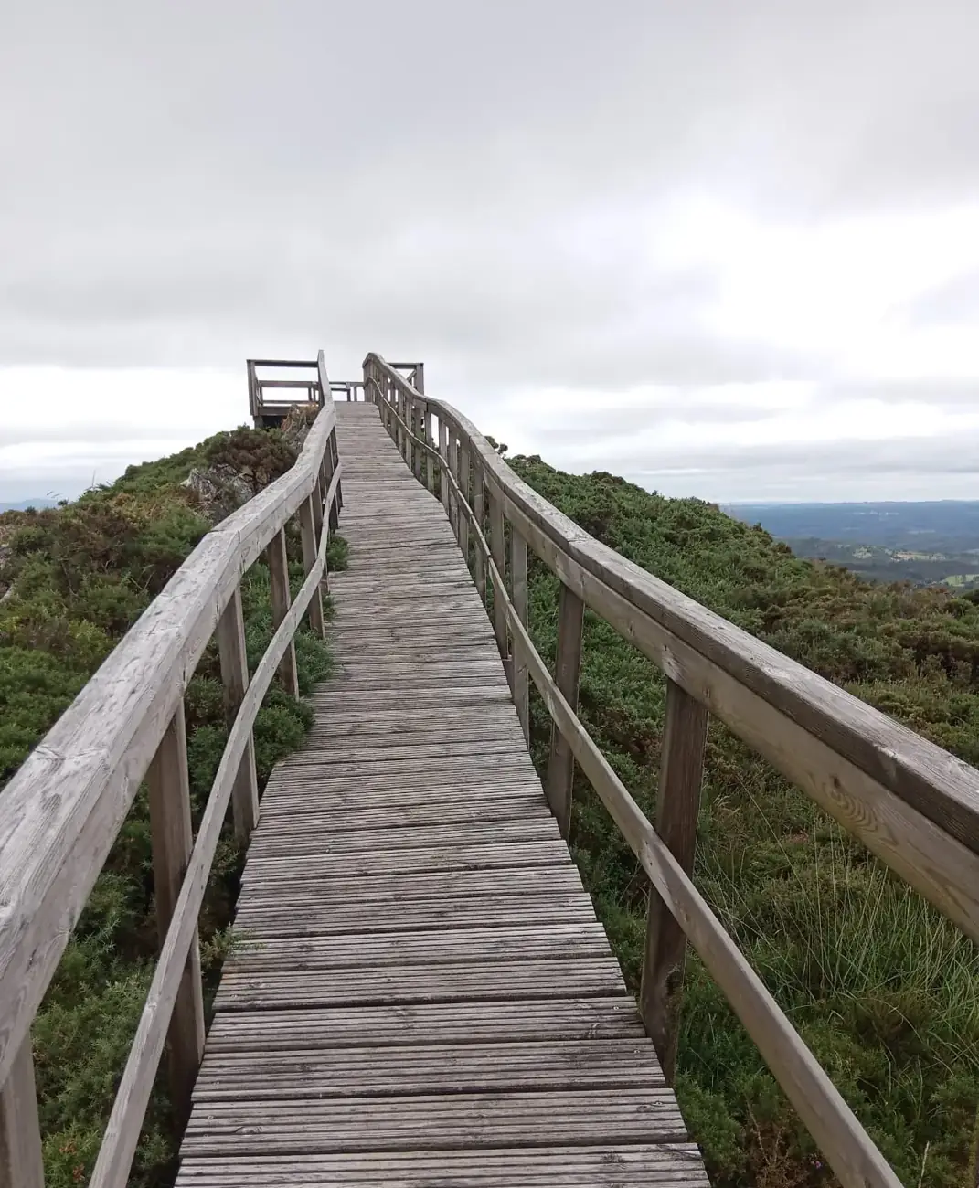 Pasarela de madera que sube entre el tojo hasta el mirador de la cima del monte de Raño