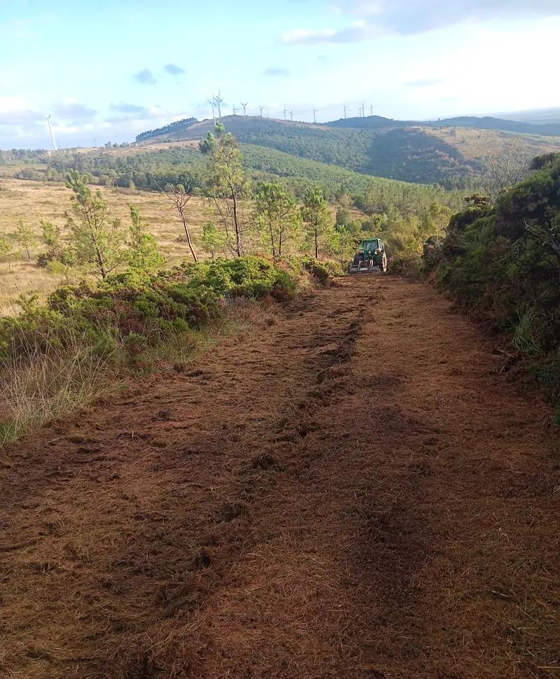 Tractor rozando mato nunha pradeira do monte de Raño